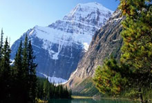 塞尔维亚队不断突破！，浓眉哥连续三场比赛得分超过大比分获胜观众掌声雷动的简单介绍